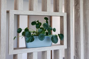 maison-de-sante-morance